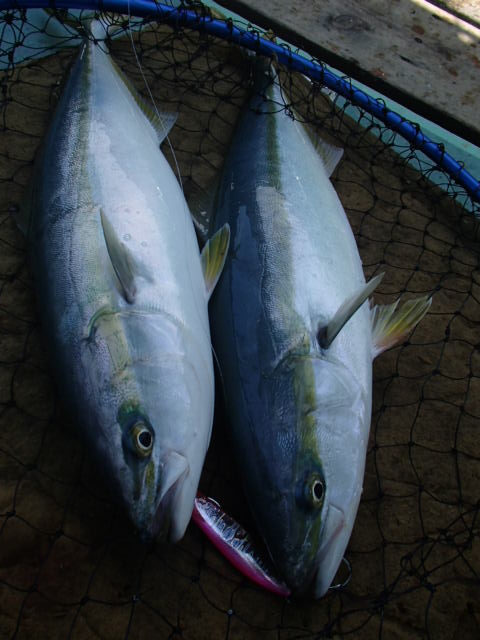 a0248152_18164249.jpg