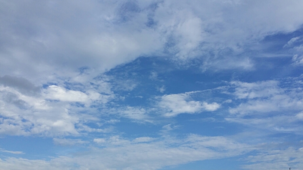 f0046854_22573868.jpg