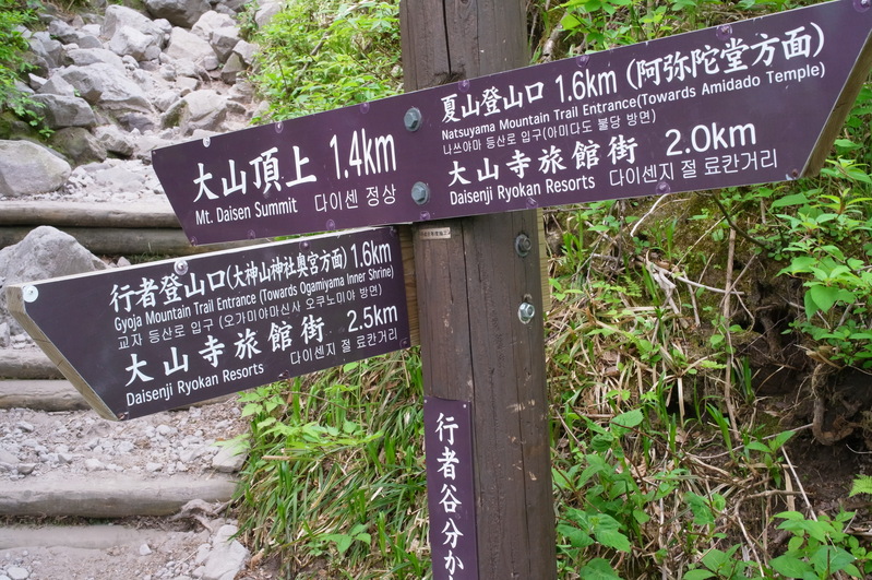 a0288155_21293451.jpg