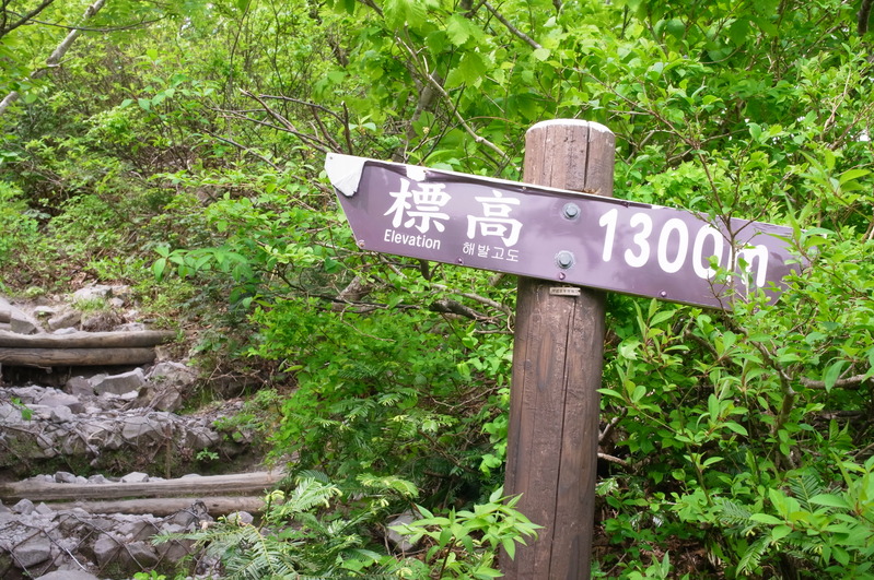 a0288155_21295989.jpg