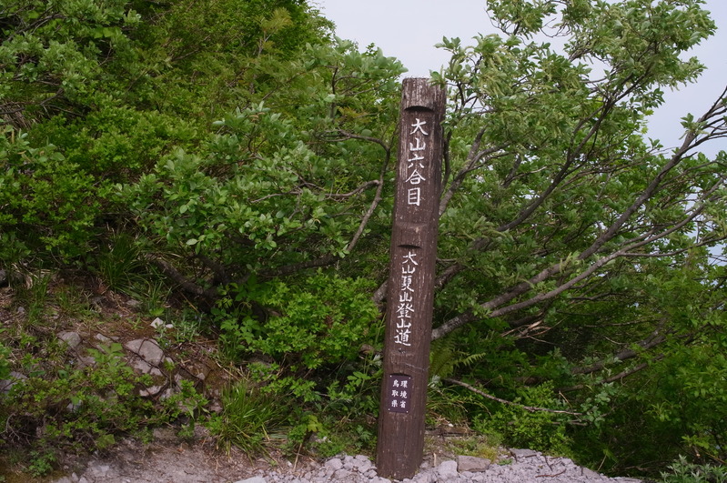 a0288155_21311927.jpg