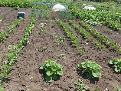 e0004756_21401751.jpg
