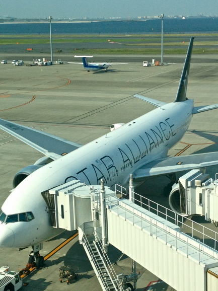 a0226258_21284597.jpg