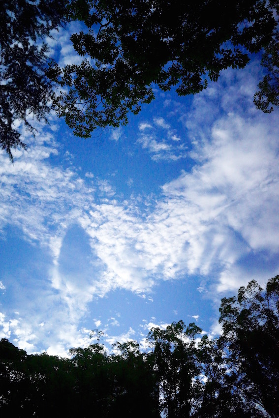 f0134963_23264069.jpg