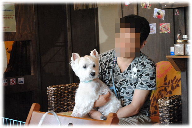b0242873_00542065.png