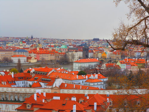 c0094173_21332852.jpg