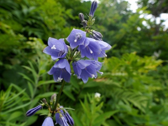 c0183777_13531725.jpg