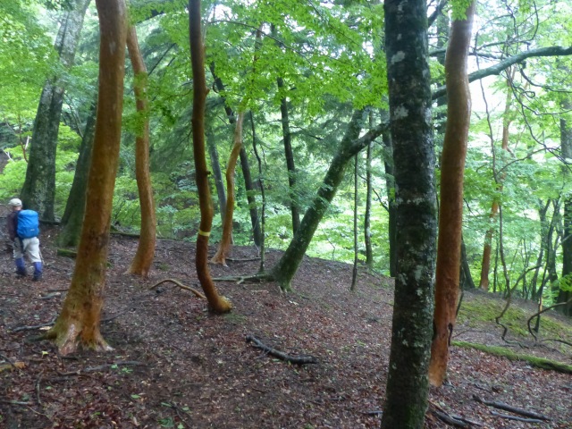 f0357487_23294493.jpg