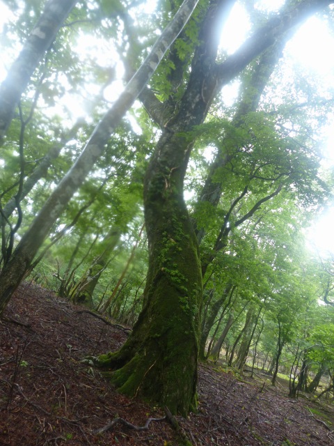 f0357487_23322590.jpg