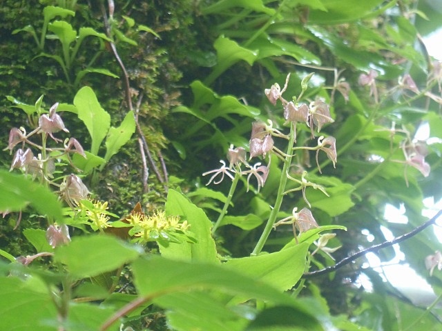 f0357487_23345987.jpg