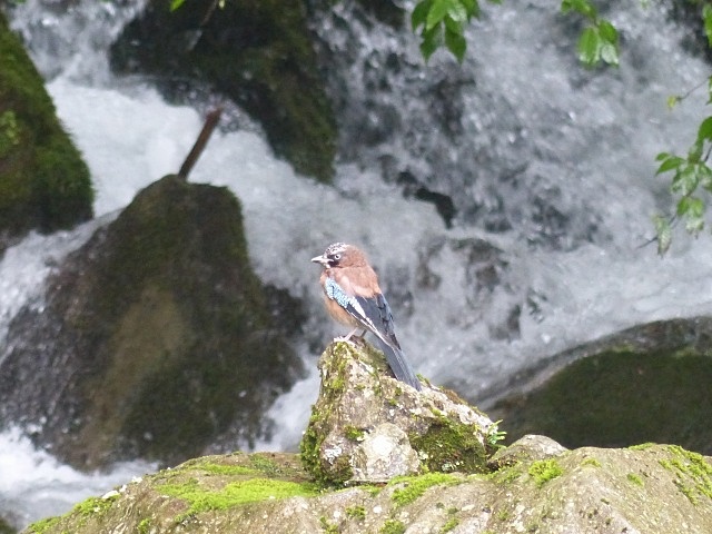 f0357487_23373366.jpg