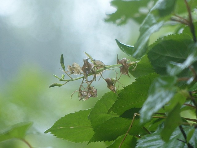 f0357487_23402155.jpg