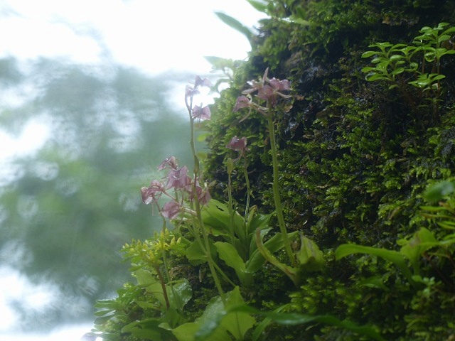 f0357487_23413251.jpg