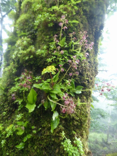f0357487_23481665.jpg