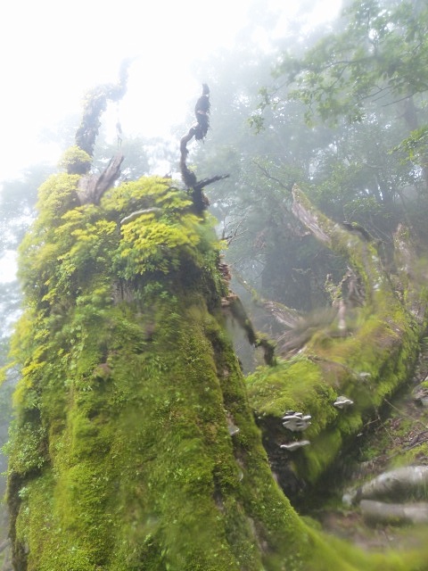 f0357487_23533097.jpg
