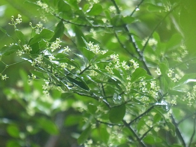 f0357487_2355410.jpg