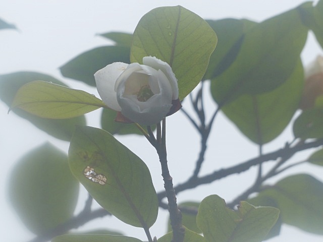 f0357487_2356352.jpg