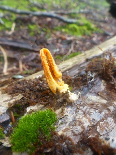 f0357487_23572259.jpg