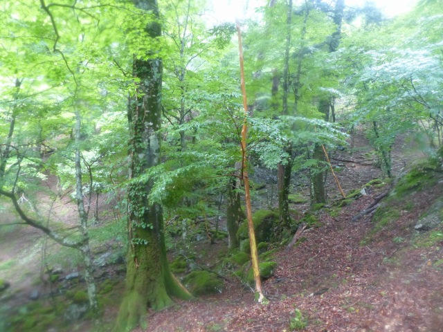 f0357487_23594347.jpg