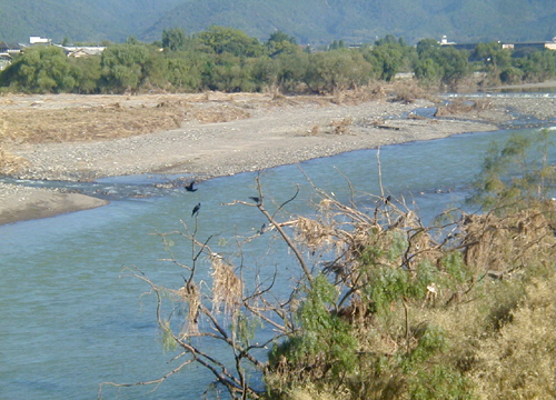 d0053294_142230.jpg