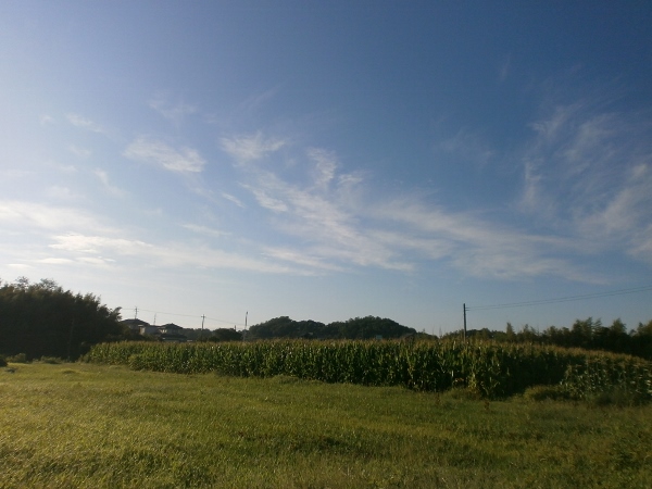 d0000995_9112627.jpg