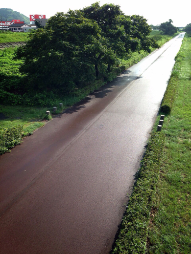 f0138995_12134650.jpg