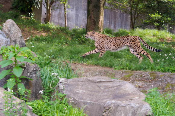a0331996_22093472.jpg