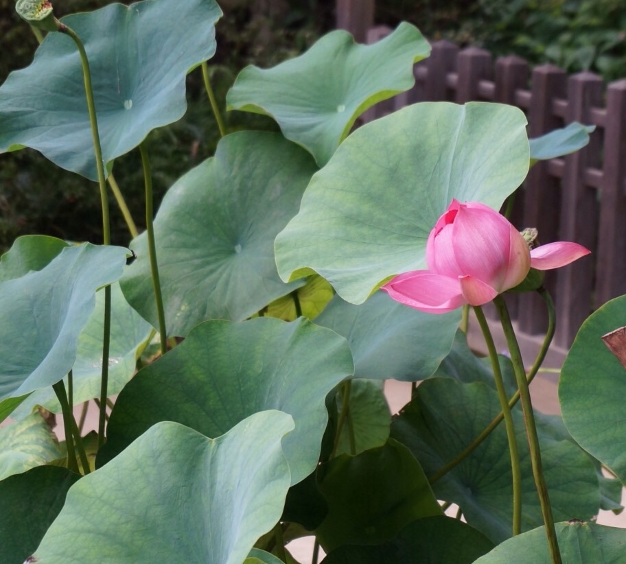 f0036603_20472788.jpg