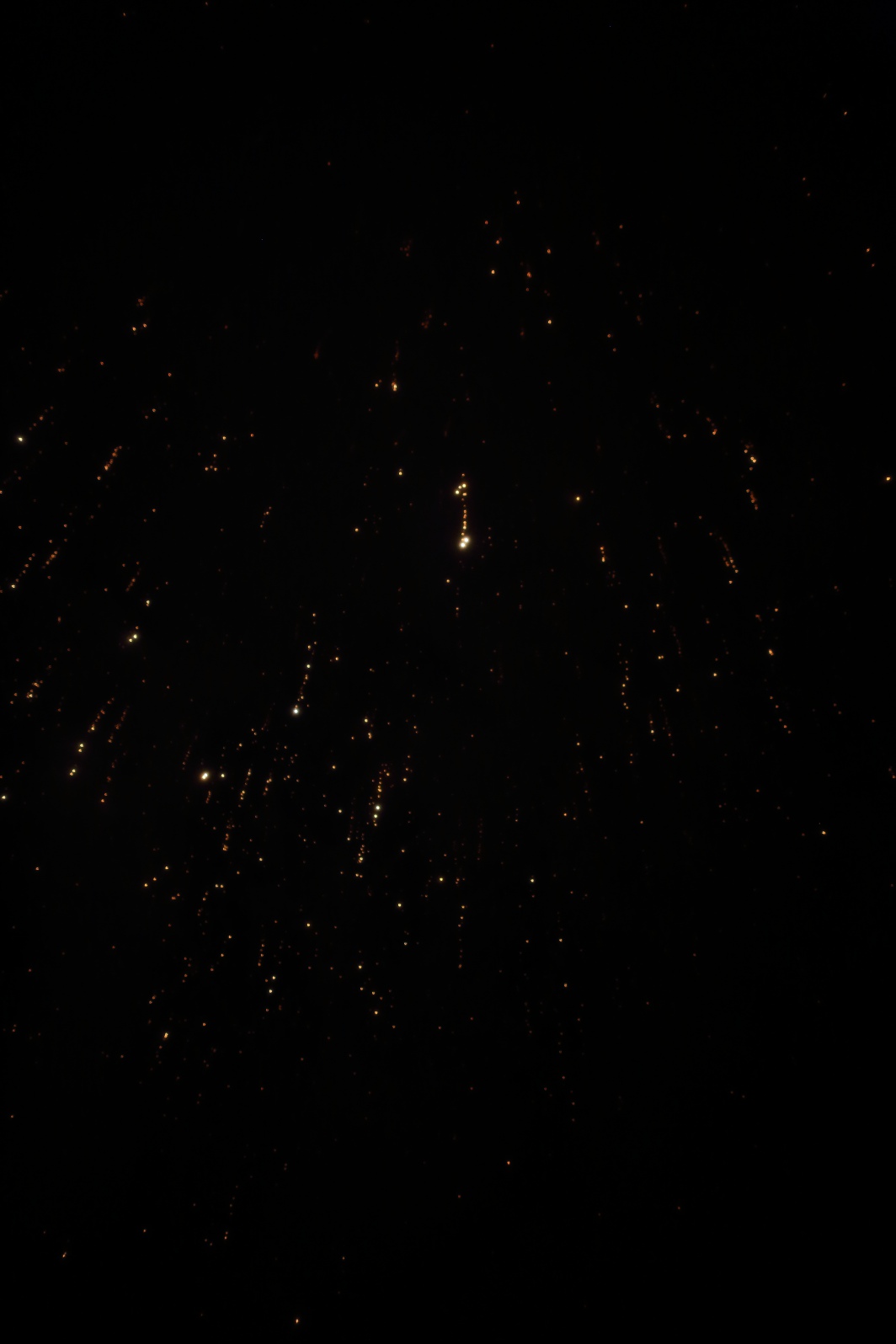 a0155104_9235748.jpg
