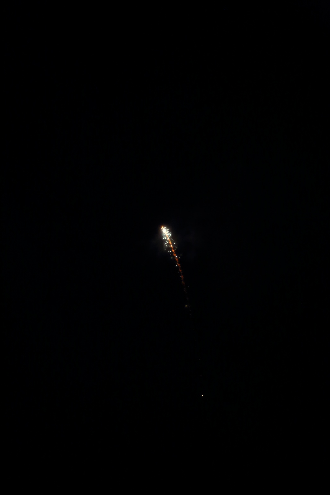 a0155104_9243234.jpg