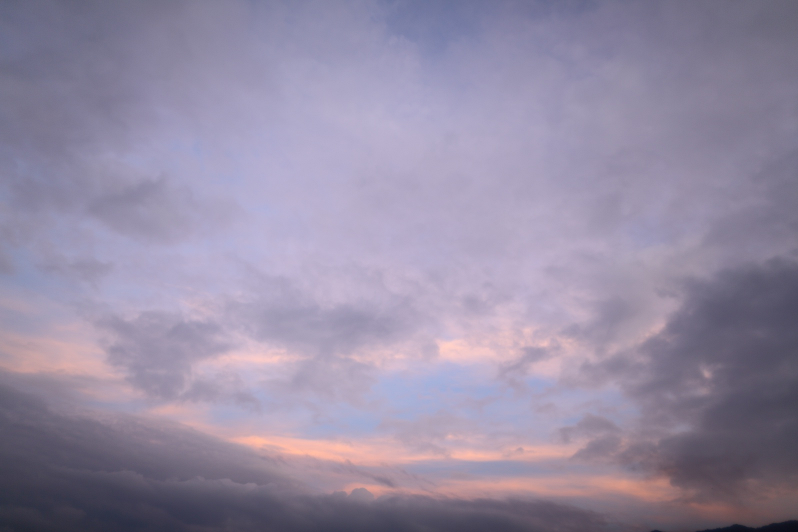 a0155104_9262327.jpg