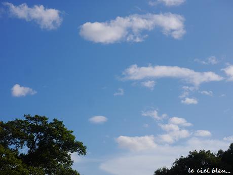 c0098807_21163520.jpg