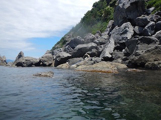 c0359615_18555795.jpg