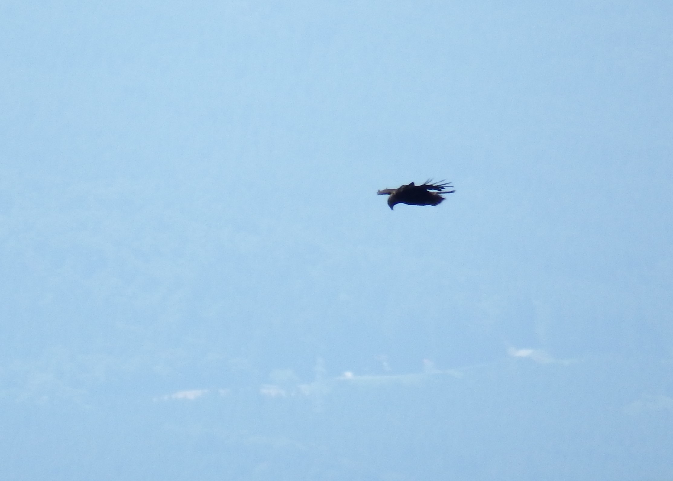 f0118332_00112507.jpg