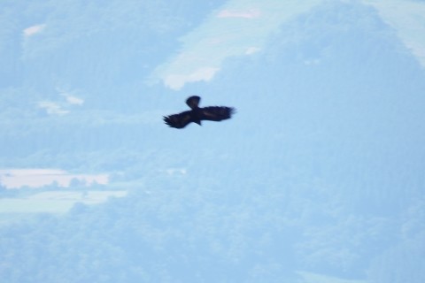 f0118332_00113394.jpg