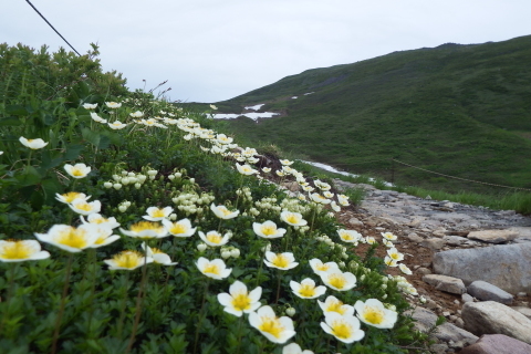 f0118332_00152514.jpg