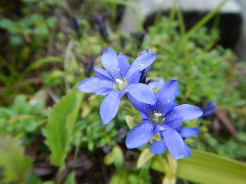 f0118332_00250029.jpg