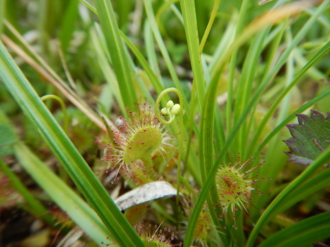 f0118332_00260779.jpg