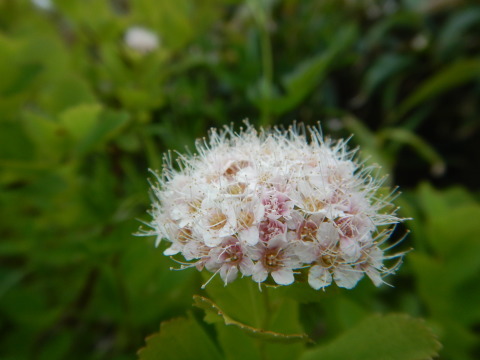 f0118332_00273591.jpg