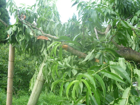 b0246036_14592759.jpg