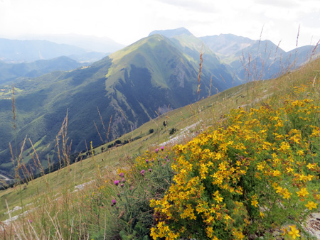 シビッラ山と金色の花たち - イタリア写真草子