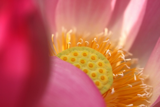 a0242438_192726.jpg