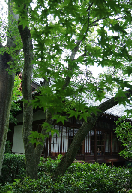 d0180447_16441578.jpg