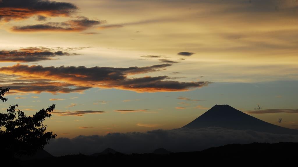 f0043750_238420.jpg