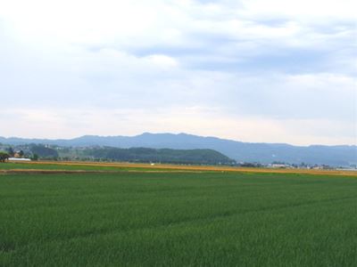 b0220251_13415164.jpg