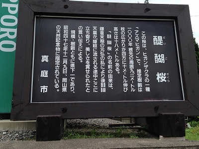 d0031853_2432341.jpg