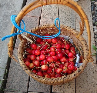 e0004756_2252257.jpg