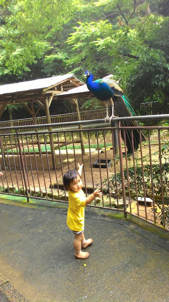 f0201157_23103044.jpg