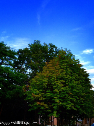 a0337860_00203046.jpg