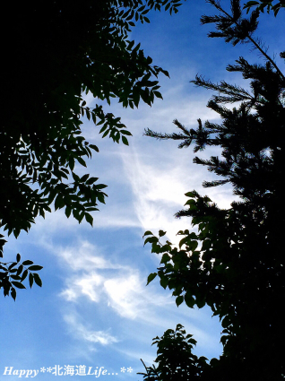 a0337860_00203052.jpg